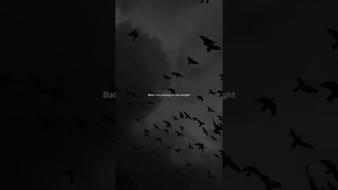 Maroon 5 - Animals (Lyrics) | "Baby I’m preying on you tonight" | WhatsApp Status #animals  #maroon5