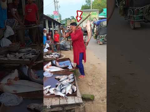 🙆♀️😲 How did they steal the fish? #South Korea #United status #Vietnam #india #Brazil