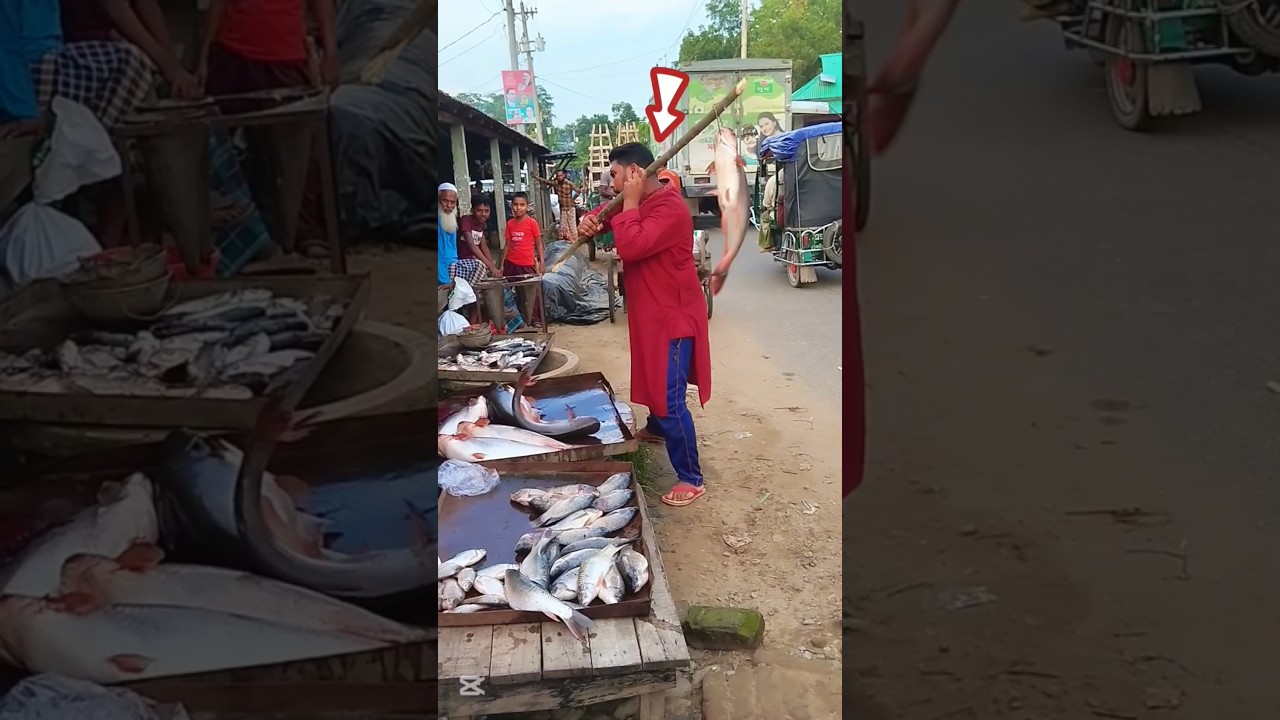 How Was the Fish Stolen? 🌊