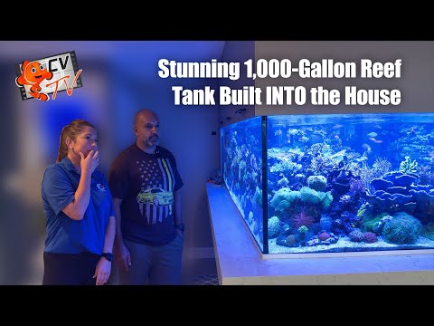 CVtv Special: Stunning 1,000-Gallon Reef Tank Build Into the House