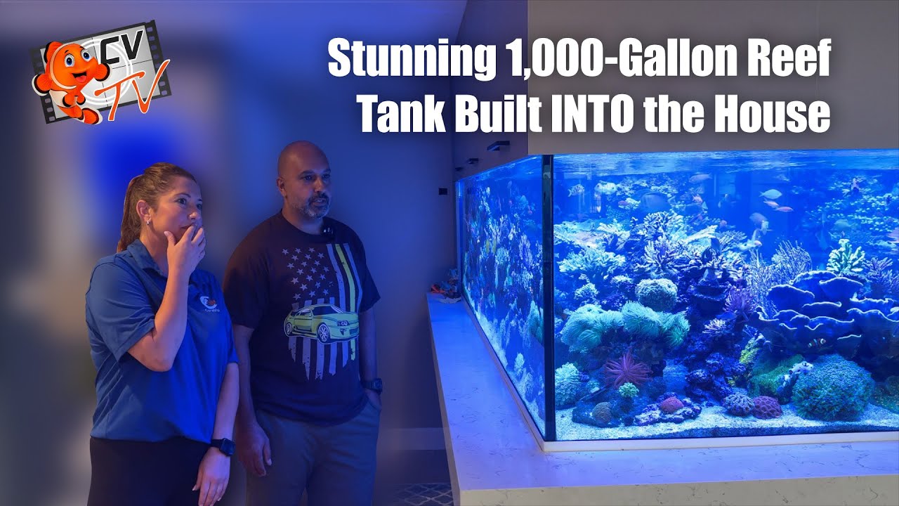 Inside a Stunning 1,000-Gallon Reef Tank Built Into a Home ๐