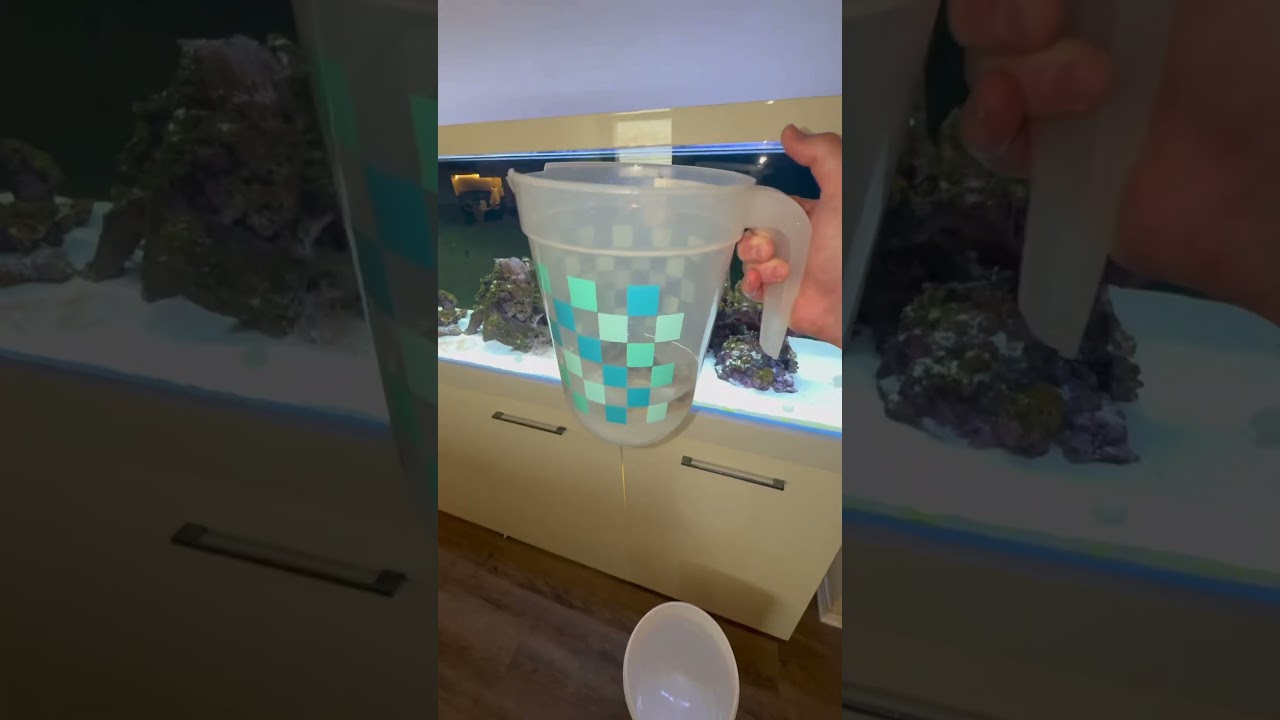 My Pufferfish Swells Up 🐡