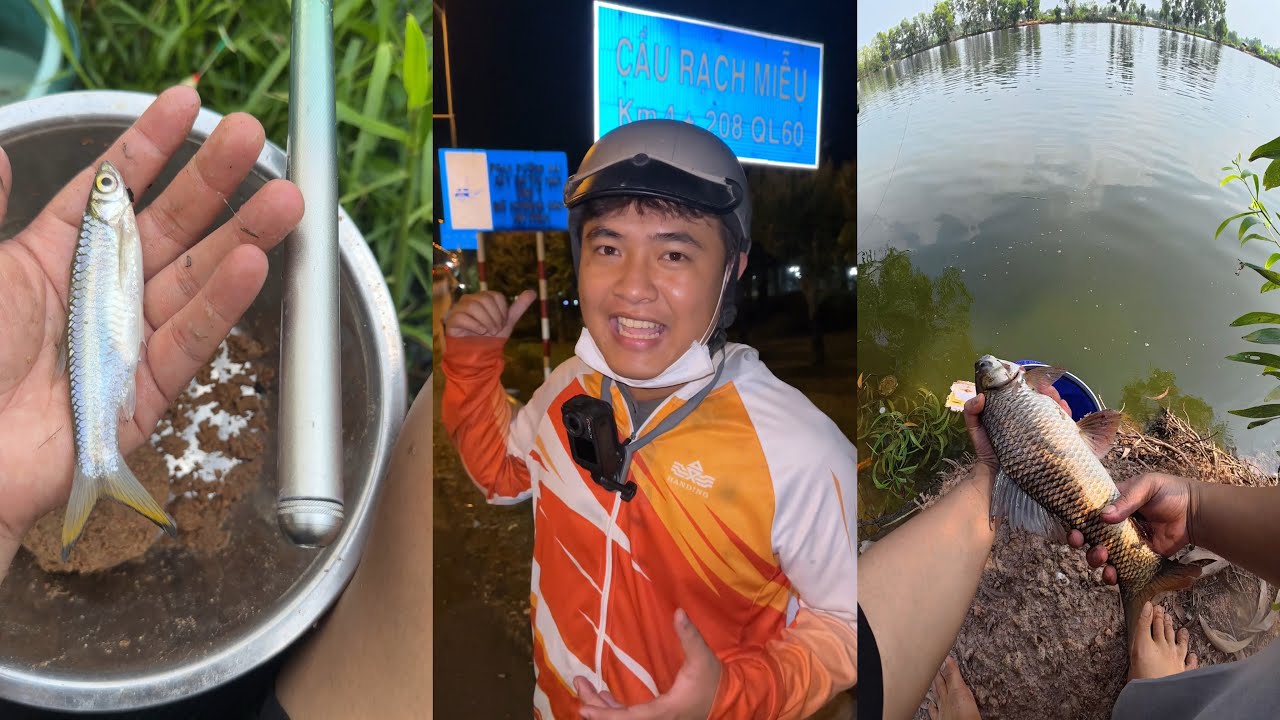 TTA - Câu đêm Gặp chuyện lạ Cầu Rạch Miễu Loài Cá Lòng Tong Đá To Lớn 