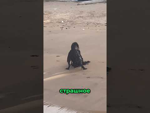 Девушка увидела страшный силуэт на пляже @lost_ptyer - TikTok.