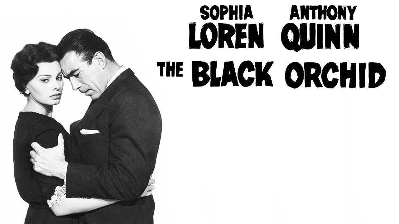 The Black Orchid (1958) Drama Trailer πΊ with Sophia Loren & Anthony Quinn