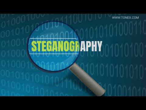 Steganography  Fundamentals Training, How to Hide Secret Messages in Images and Videos