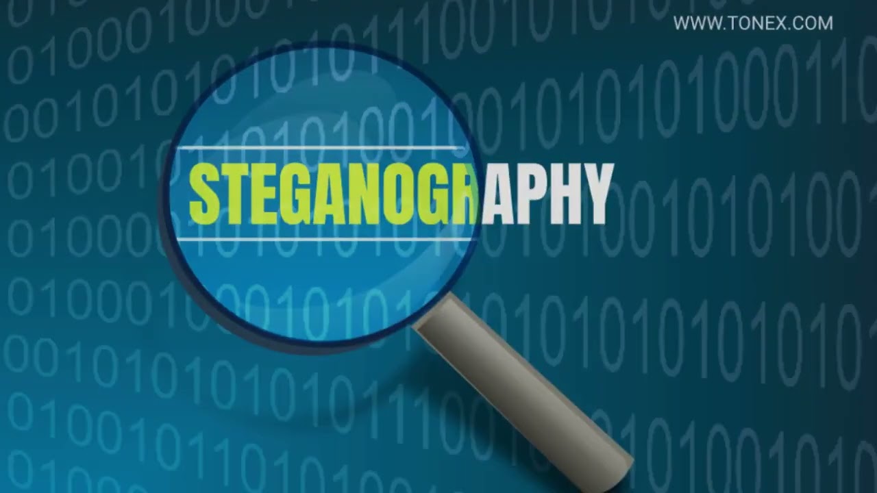 Master Steganography: Secrets to Hiding Messages in Images & Videos 🖼️