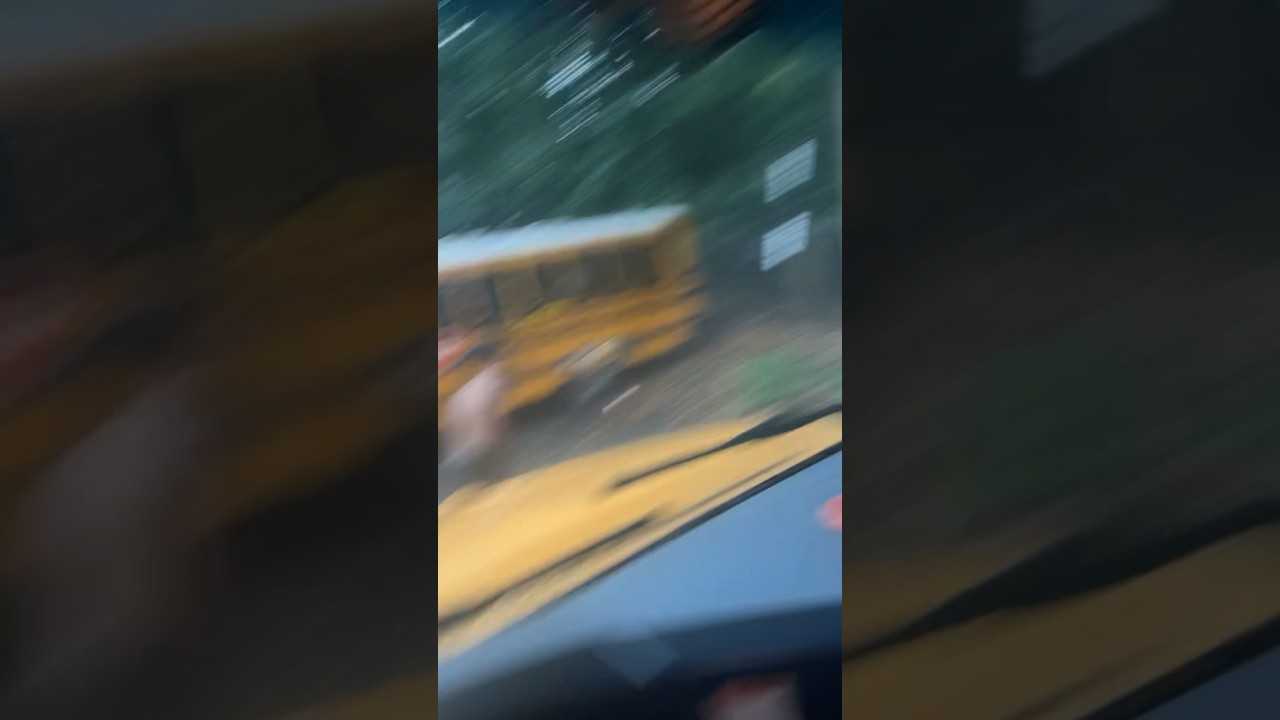 Why Is He on My Bus? 🚍 #SchoolBus #FakeReview