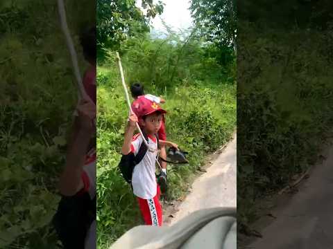 Lucu 😂 Prank Bocil Jual kepala manusia #prank #prankbocil #lucu