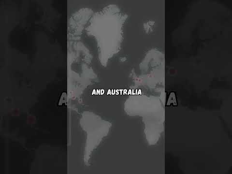 Cicada 3301: The Mysterious Puzzle🧩