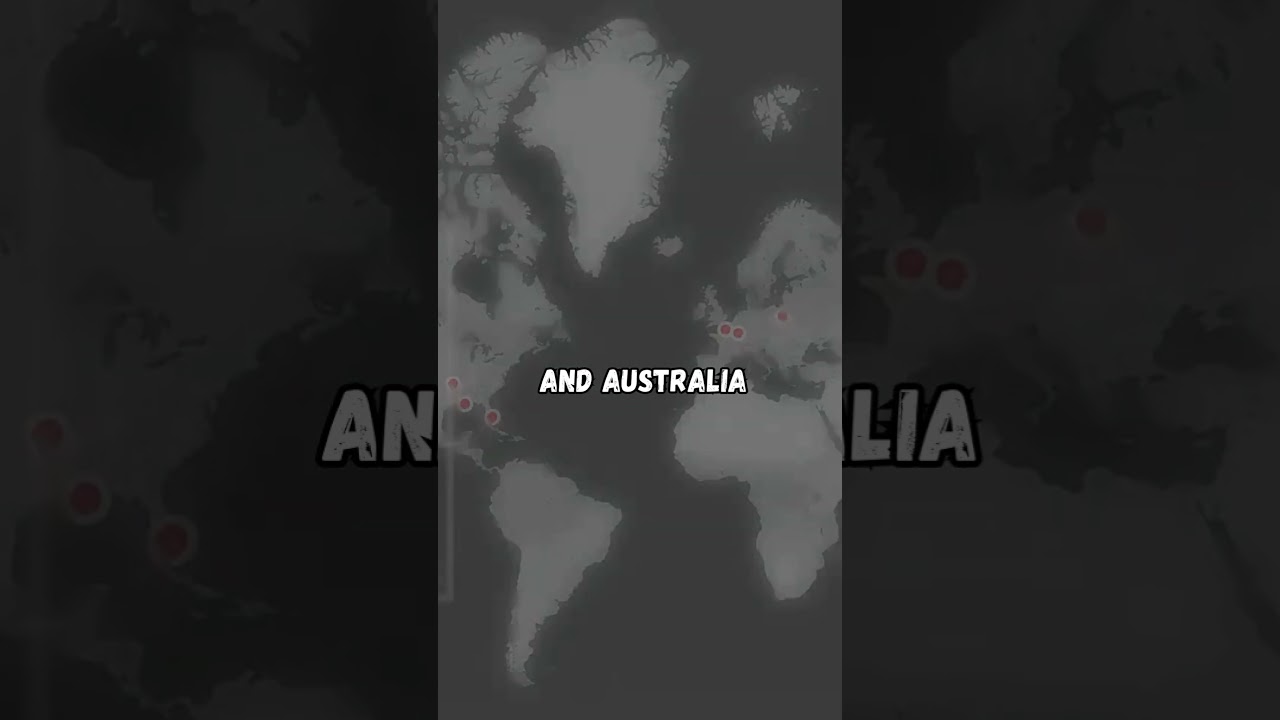 Unraveling the Mystery of Cicada 3301: The Internet's Most Enigmatic Puzzle 🕵️‍♂️