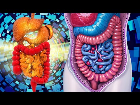 Intestinal Healing with Alpha Waves: (WARNING:VERY POWERFUL!) The Body Is Repair After 14 Min..
