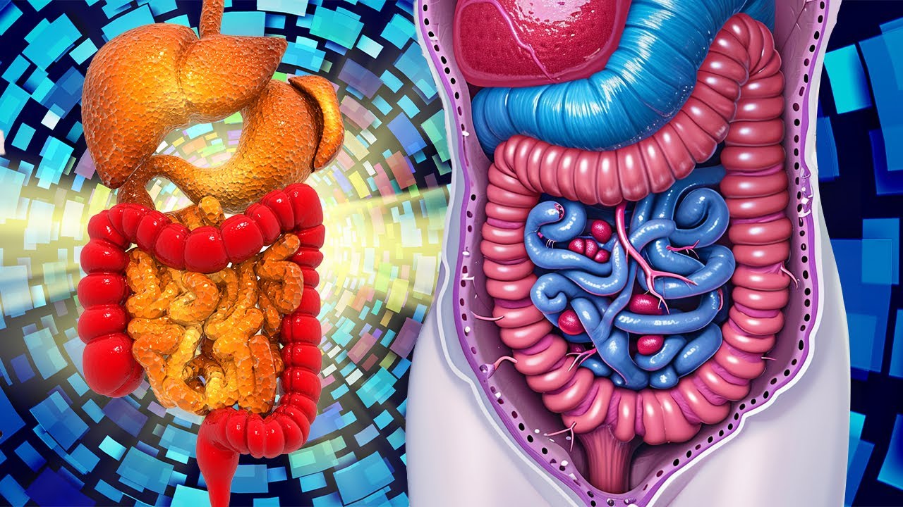 Intestinal Healing with Alpha Waves: Accelerated Body Repair in 14 Minutes