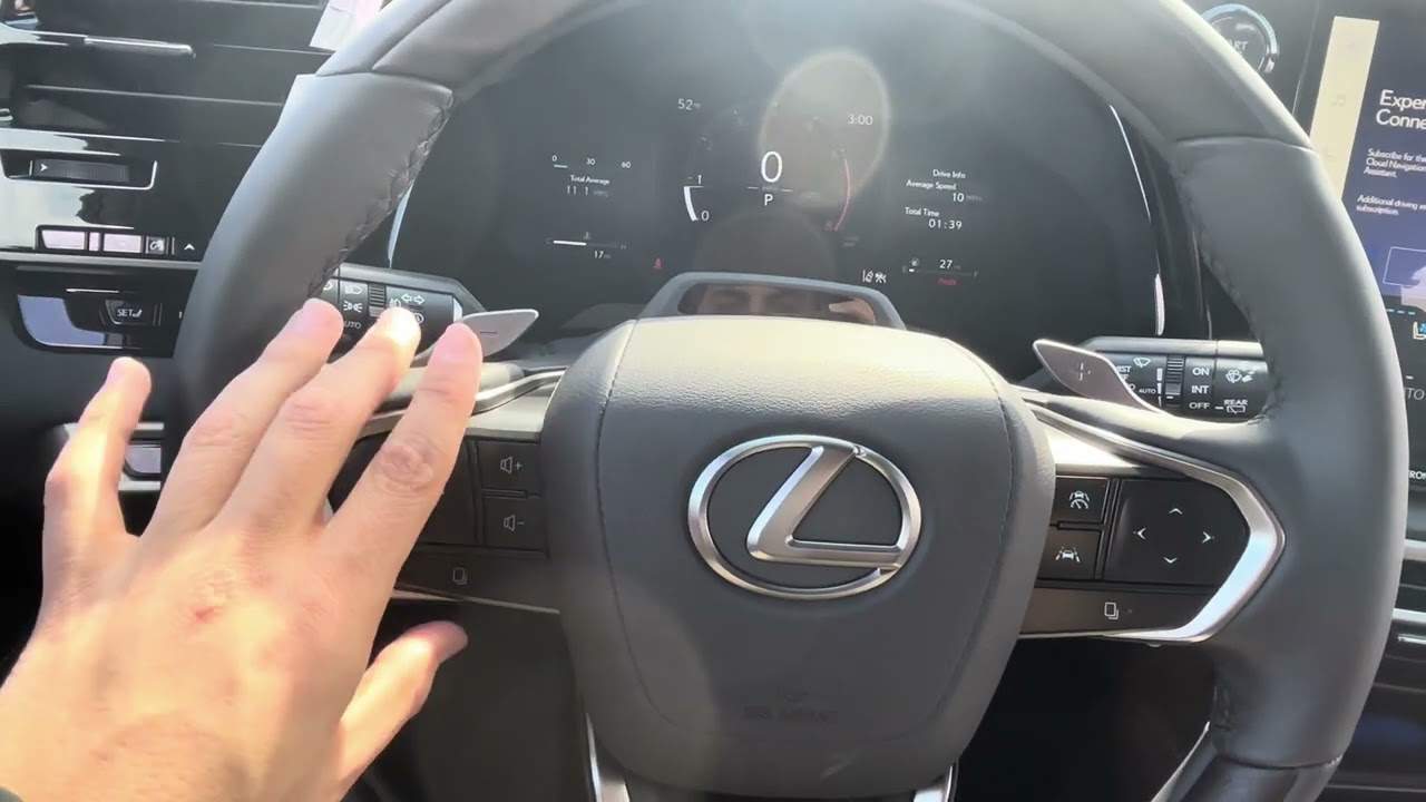 2025 Lexus RX Tutorial π