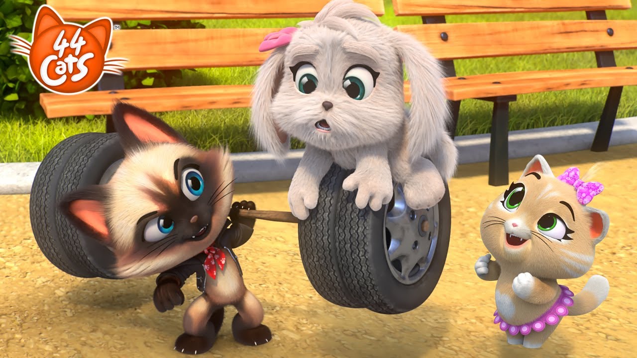 44 Cats: Meet Igor, the Strongest Cat! 🐱