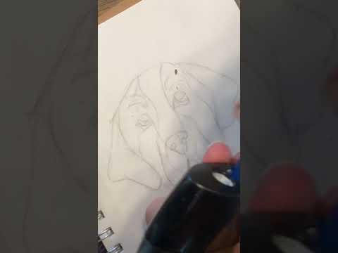 How to draw a dog Nose! 🐶