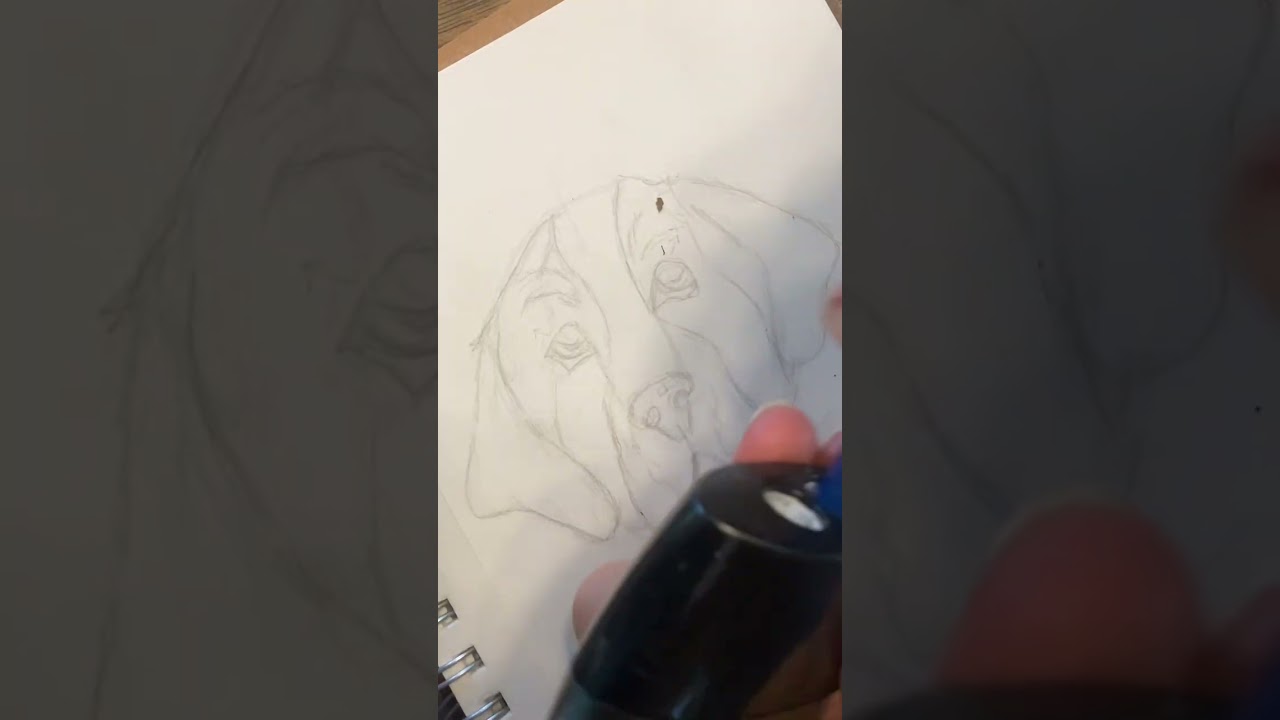 Step-by-Step Guide to Drawing a Dog's Nose