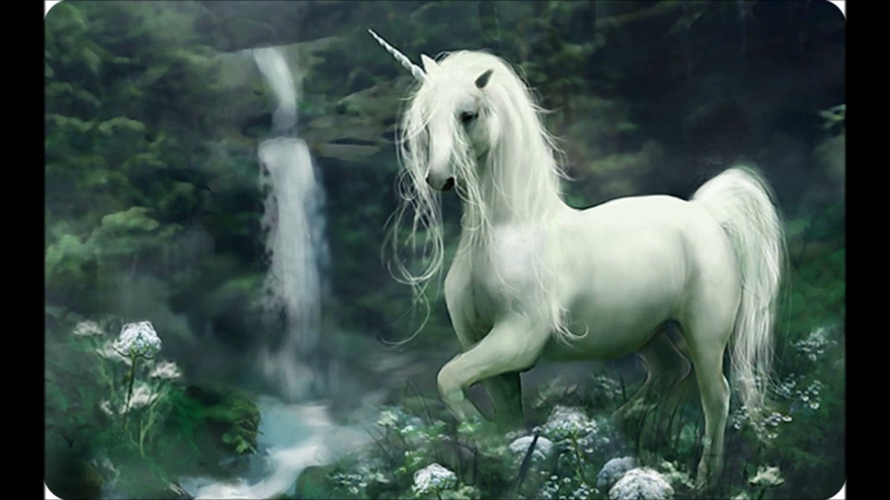 Retro Techno Vibes from Belgium 🎶