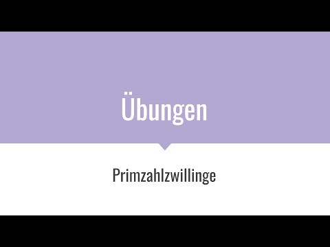 DHBW Java Vorlesung TINF20 - Übungen - Primzahlzwillinge