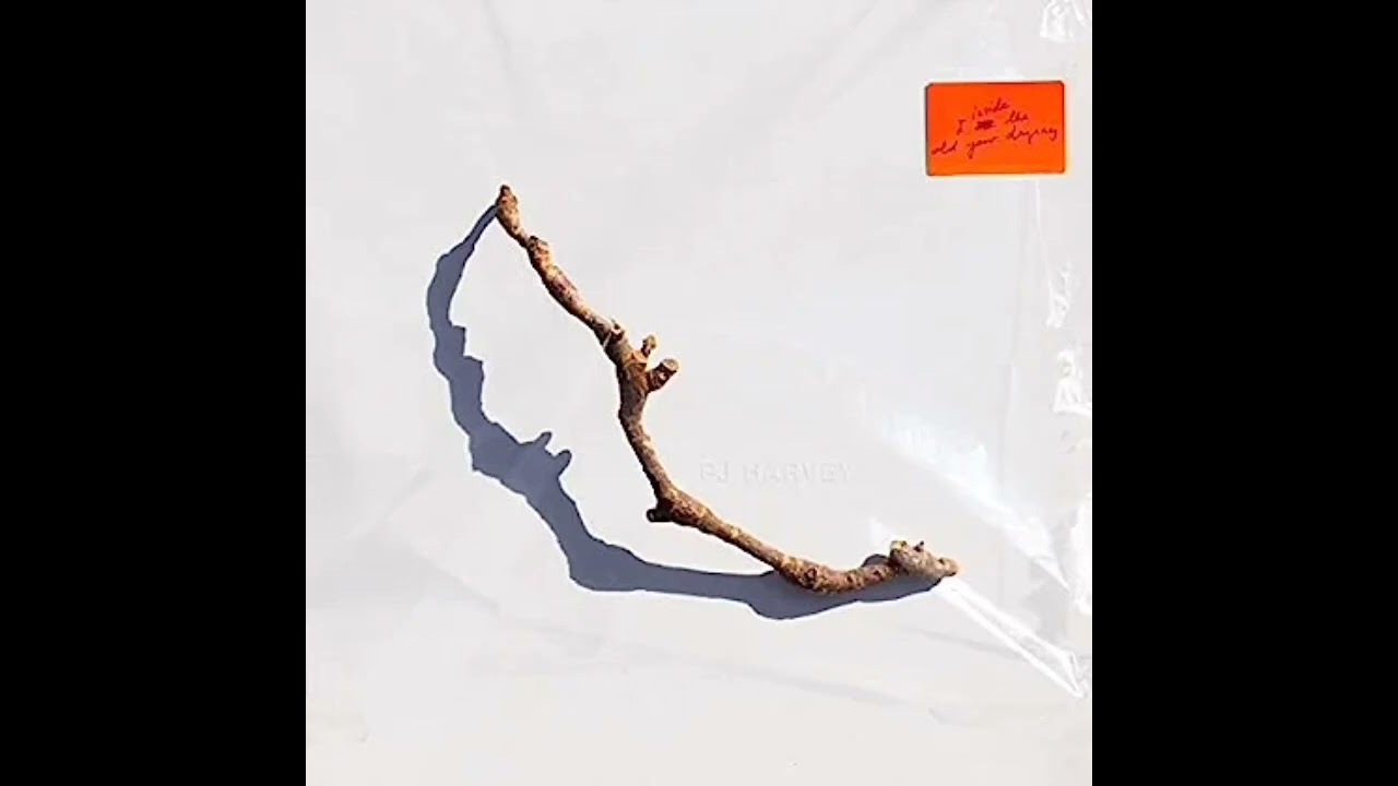 PJ Harvey - I Inside The Old Year Dying (Full Album 2023) 🎶