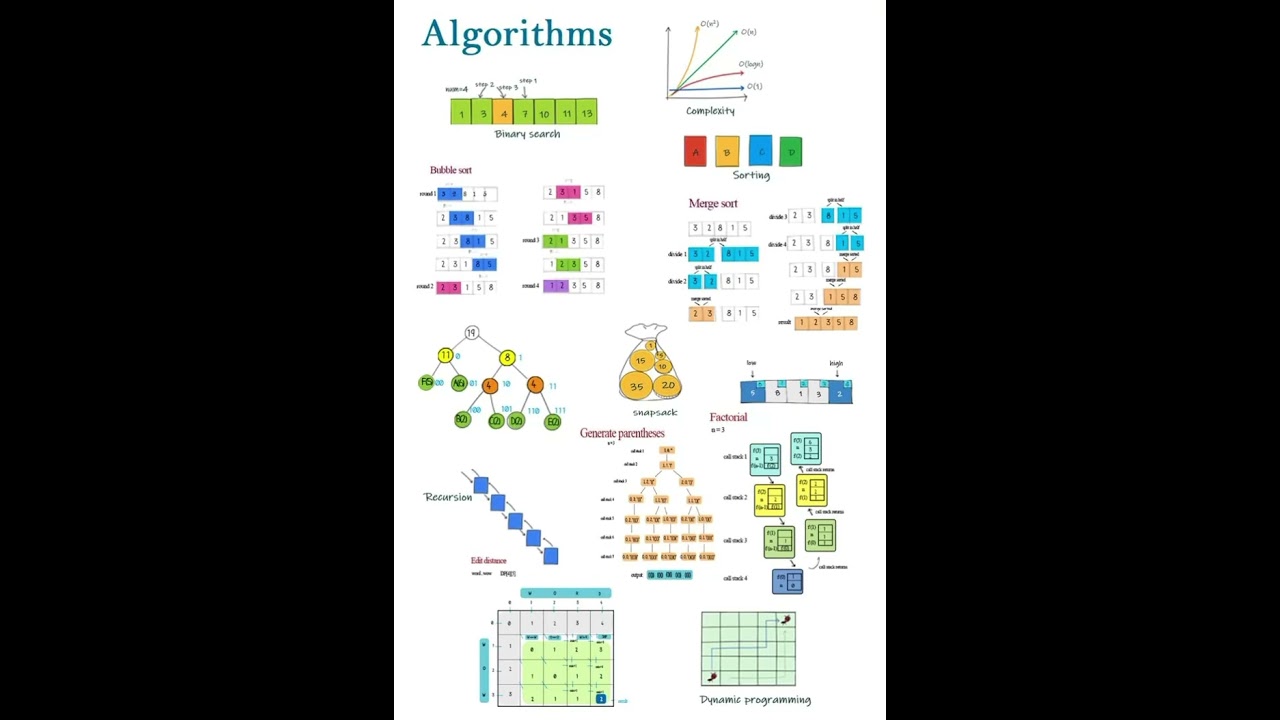 Understanding Algorithm Types with Examples