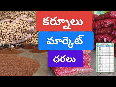 Kurnool Market Prices on 17/03/2026 🌾