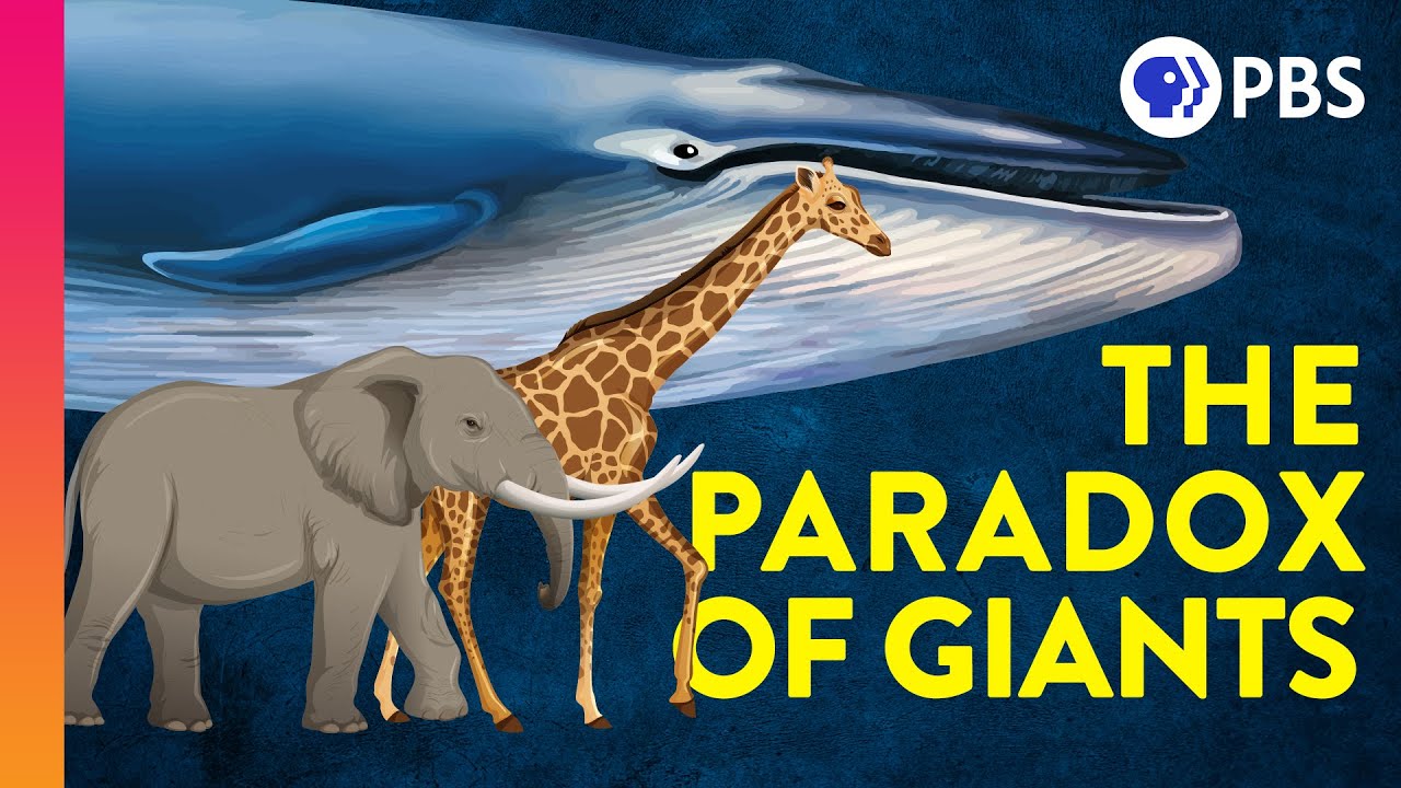 Why Don't Large Animals Get More Cancer? ๐