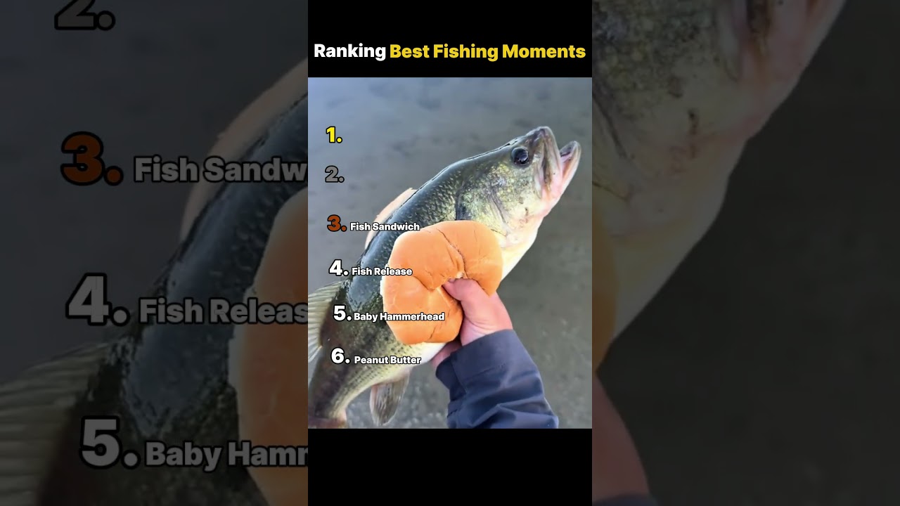 Ranking Best Fishing Moments