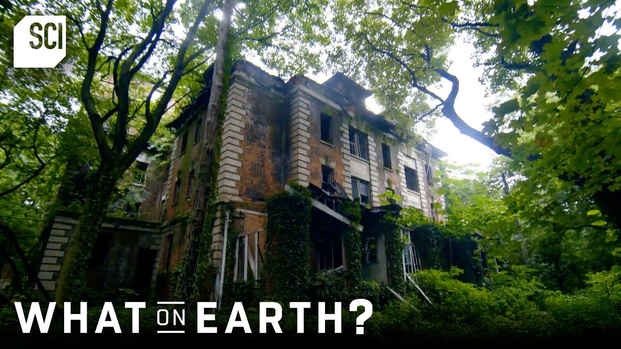 Most Mysterious Formations On Earth | What on Earth | Science Channel