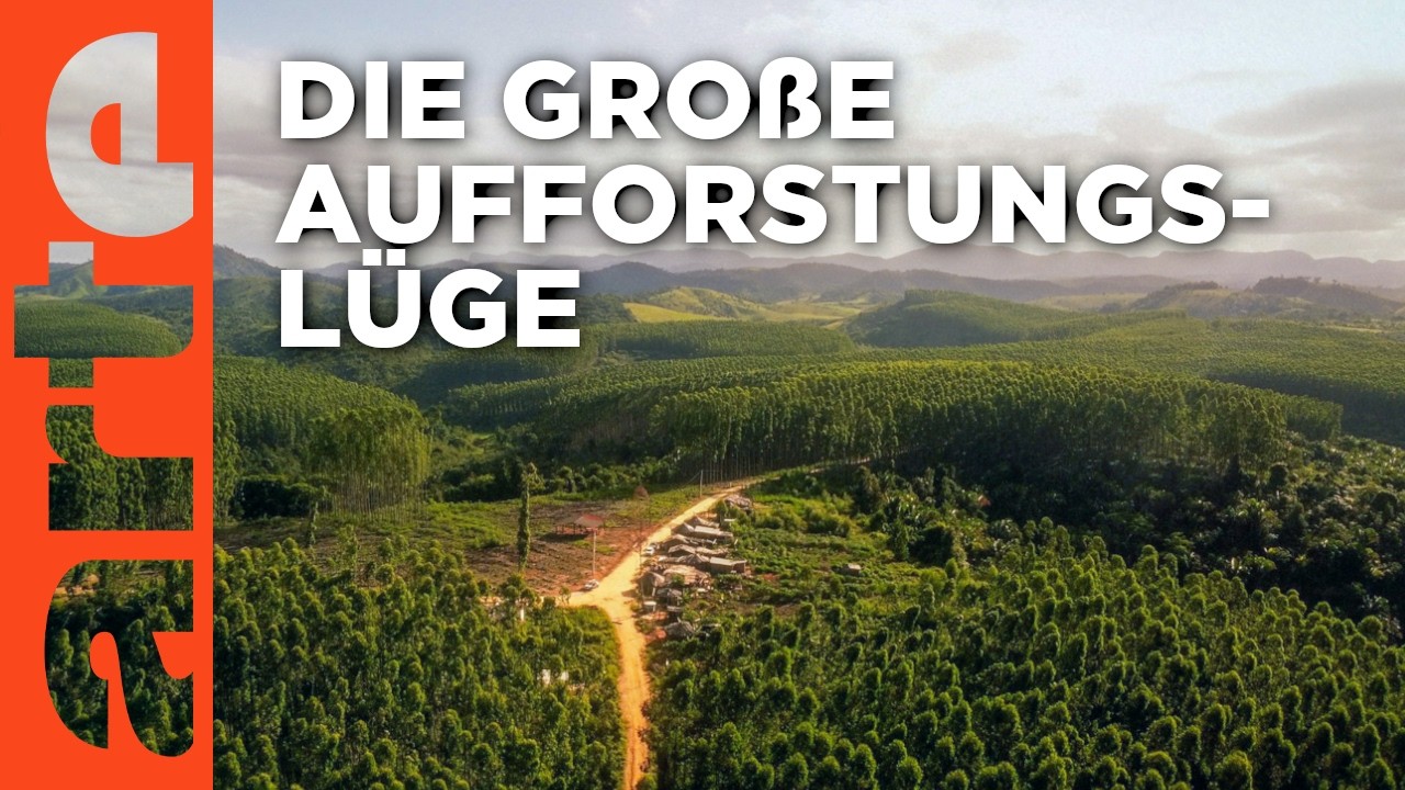 Retten Bäume den Planeten? | Doku HD | ARTE