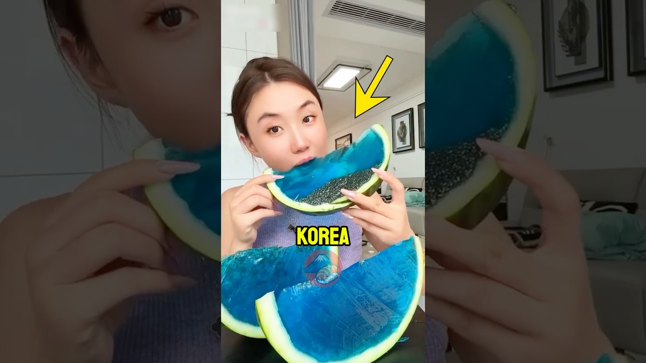 3 Practical Japanese & Korean Innovations That Just Make Sense 🇯🇵🇰🇷