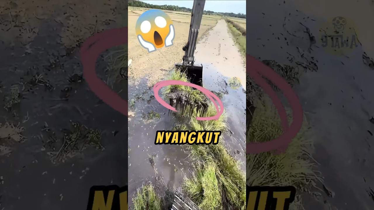 Berani Kerja di Tempat Ini? 😱 Simak Videonya!