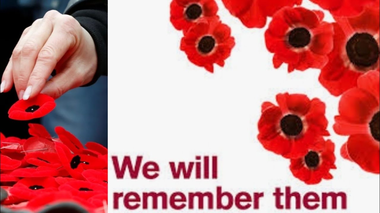 Remembrance Day 2025: Facts & Significance ๐จ๐ฆ