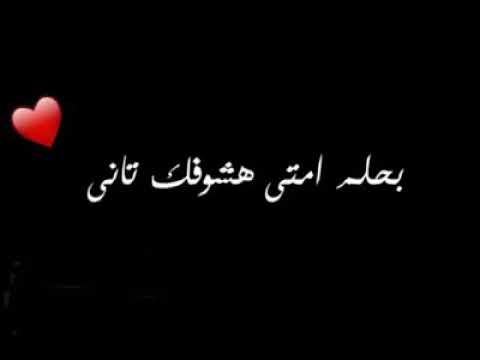 عمرو دياب: خلينا نشوفك 🎶