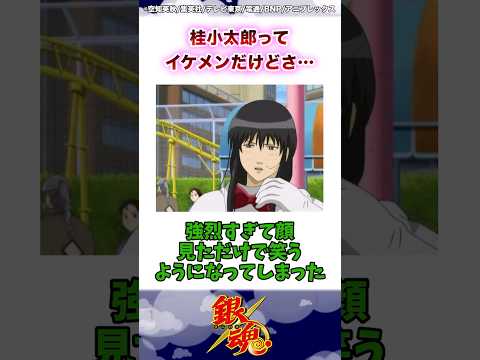 【銀魂】桂小太郎ってイケメンだけどさ… #銀魂 #銀魂反応集 #反応集 #shorts