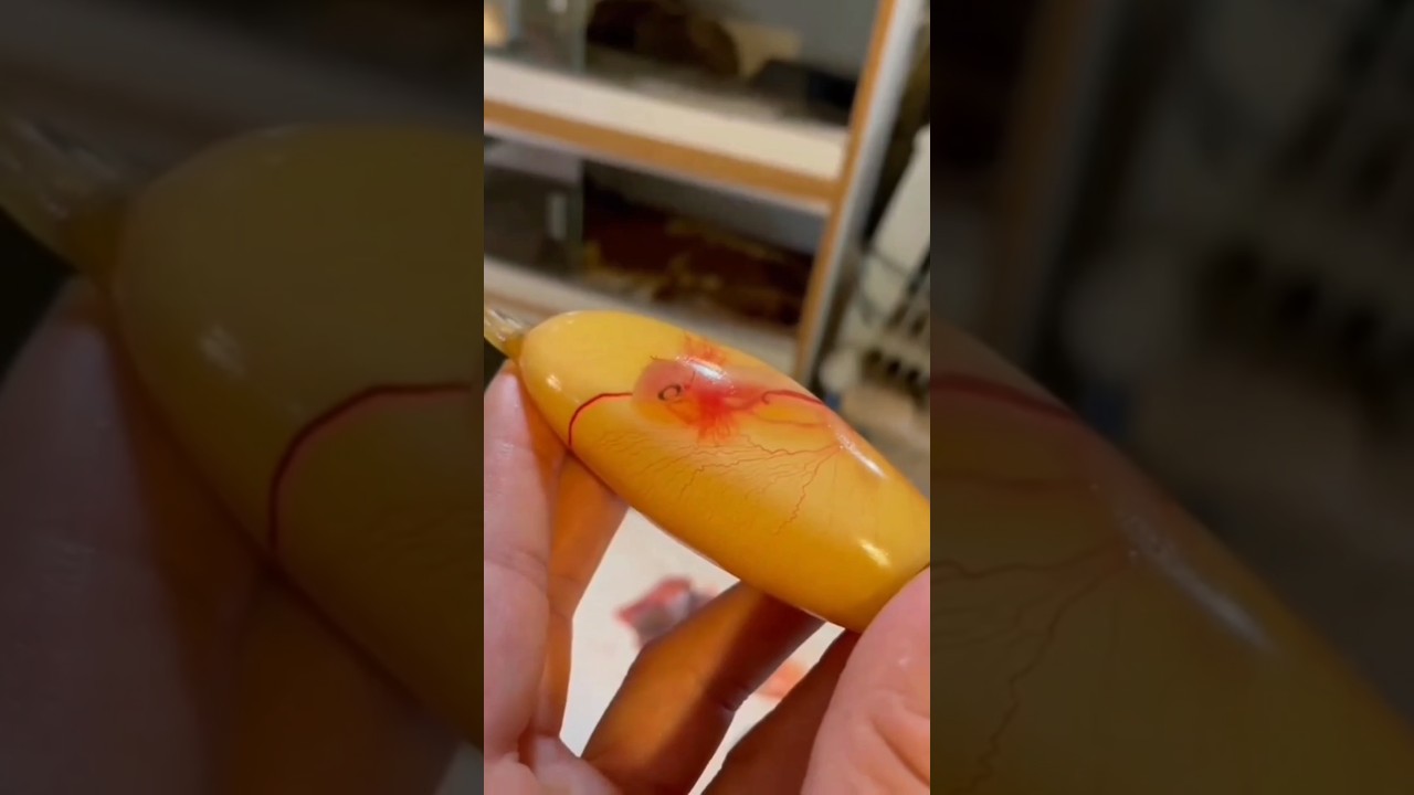 World's Most Unique Eggs 🥚