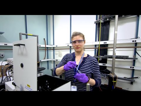 2014 CSTEP at Brookhaven National Laboratory