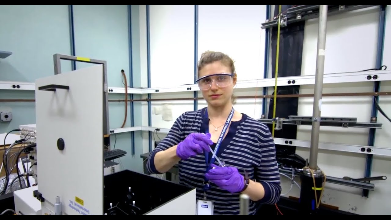 2014 CSTEP Research at Brookhaven National Laboratory