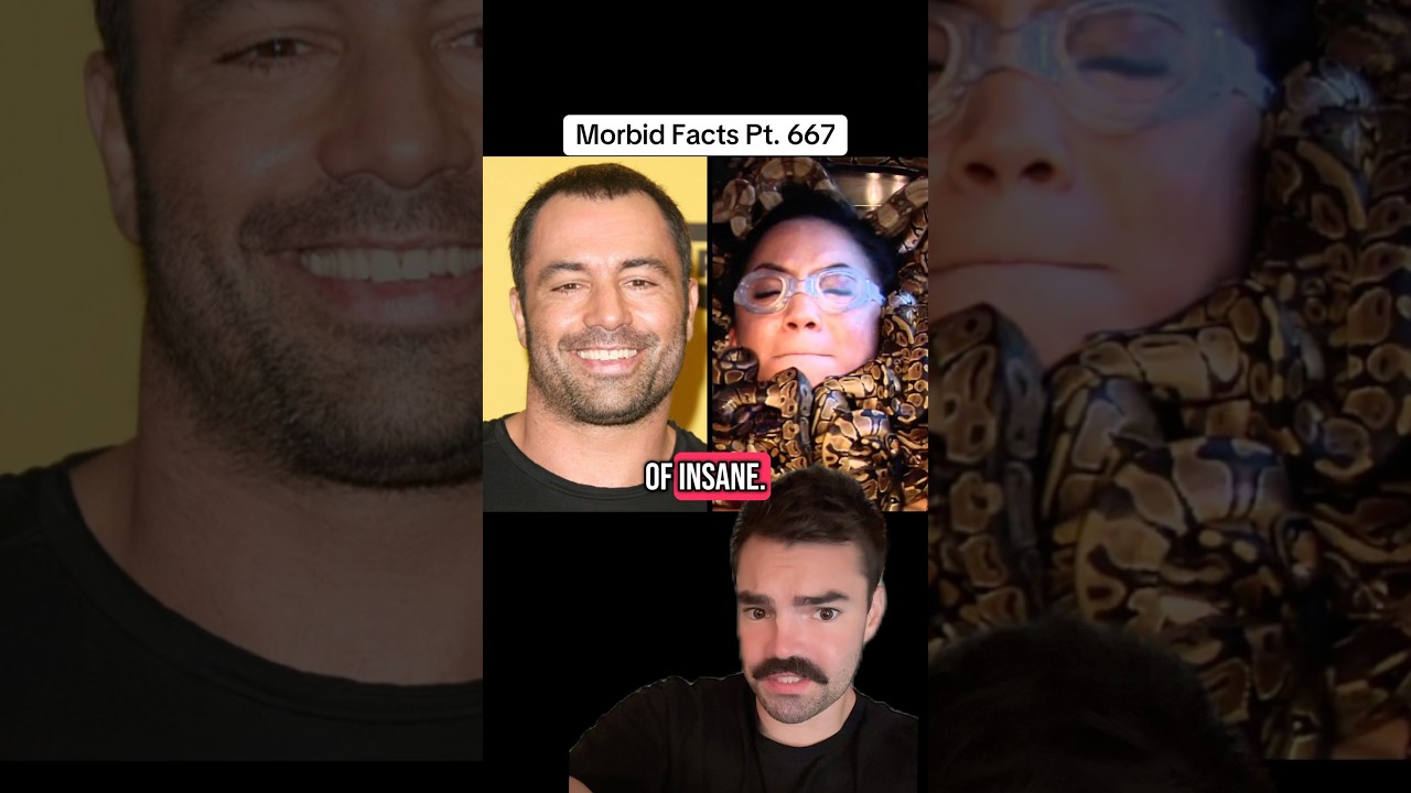 Fear Factor's Excessive Controversies 😱