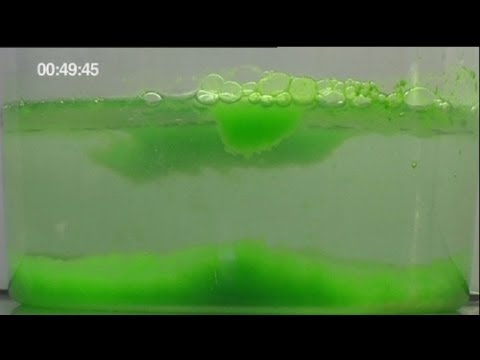 euronews science - Micro-algae is new energy source