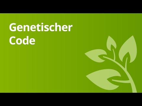Genetischer Code – experimentelle Entschlüsselung | Biologie | Genetik und Entwicklungsbiologie