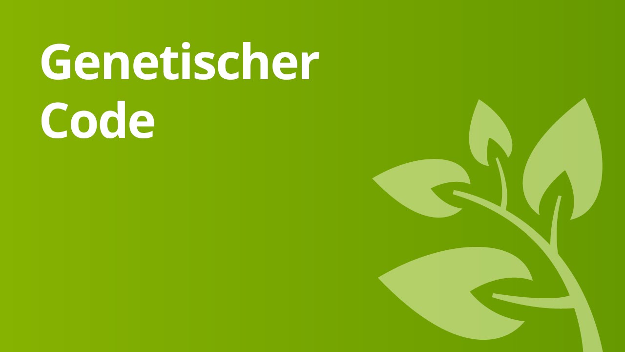 Genetischer Code entschlüsseln: Spannende Einblicke in die experimentelle Genetik 🧬