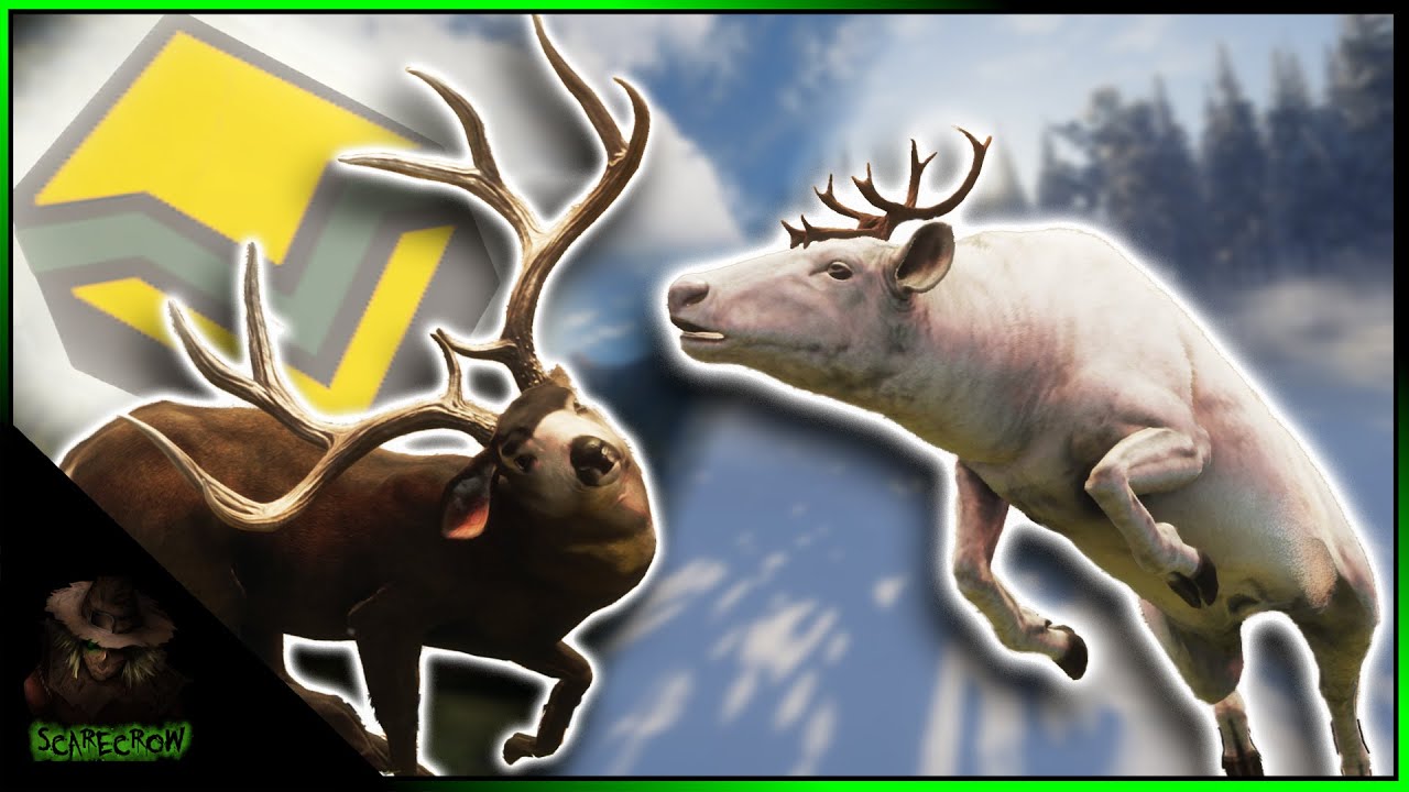 We FINALLY Got A New Diamond Mule Deer Rack + A Leucistic Reindeer! Call of the wild