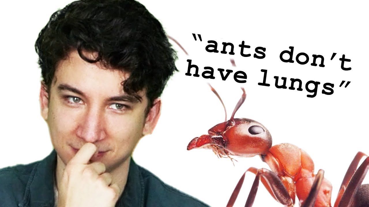 31 Fun Facts to Refresh Your Mind ✨