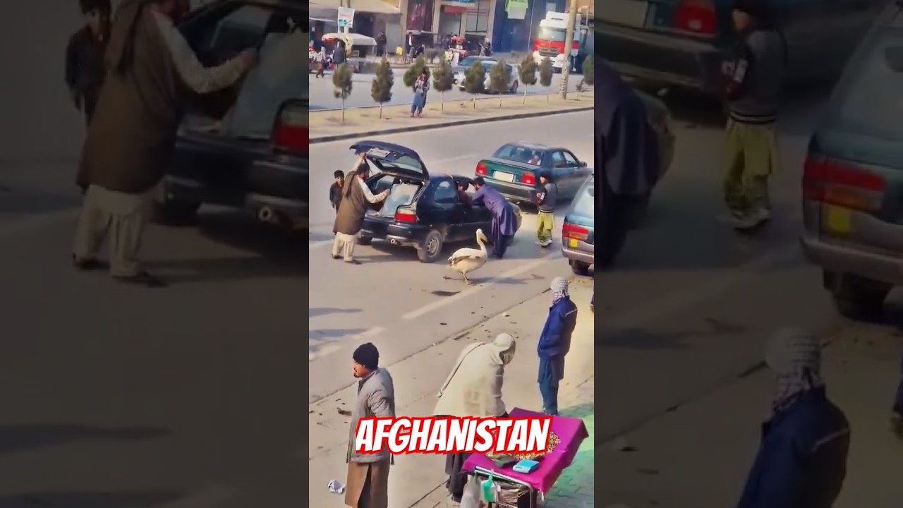 #kabul #afghanistan #2025