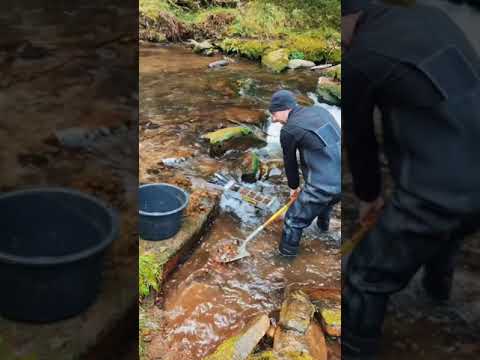 Prospecting time !! #goldprospecting #gold #goldwaschen #You Must Know #viral story #Wonderbot