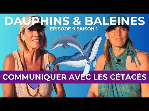 ÉPISODE 9 S1 : Communiquer avec les dauphins et les baleines - Manon Uma, Ile de la réunion