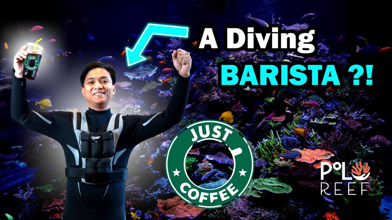 Emergency dive in a 17,000 gallon reef aquarium