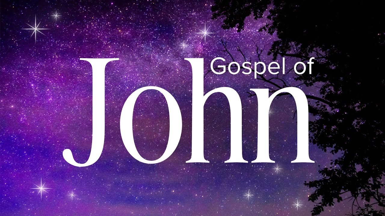 Gospel of John - Abide Audio Bible 🎧