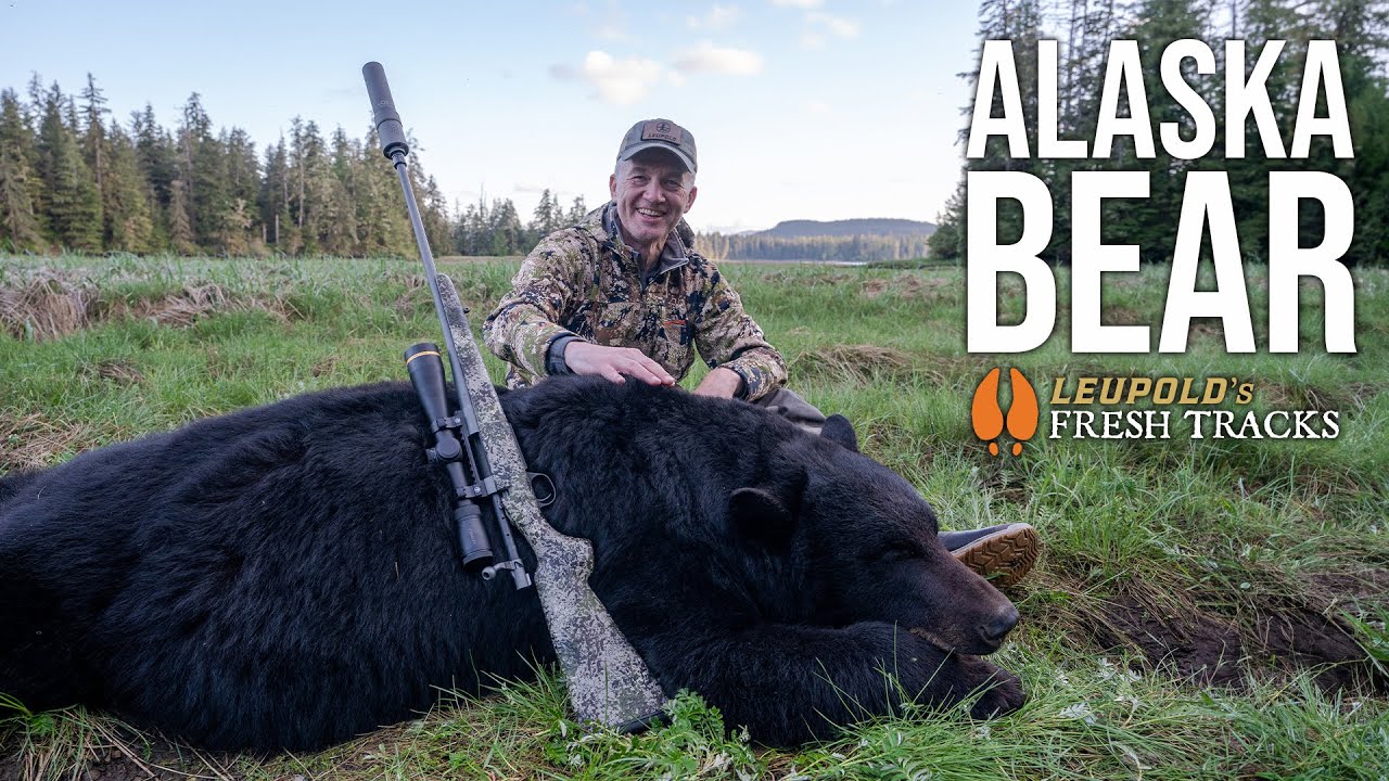 Epic Alaska Black Bear Hunt with Big Alaskan Bruin 🐻 | Fresh Tracks Adventure